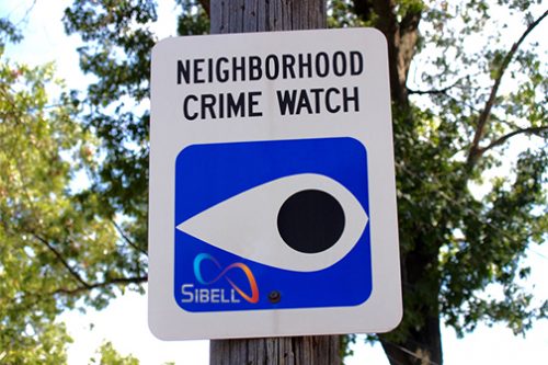 Neighborhood Surveillance Cameras