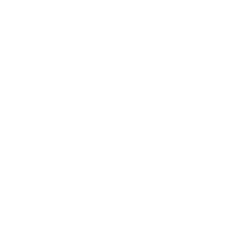 Gate Guard Security Icon